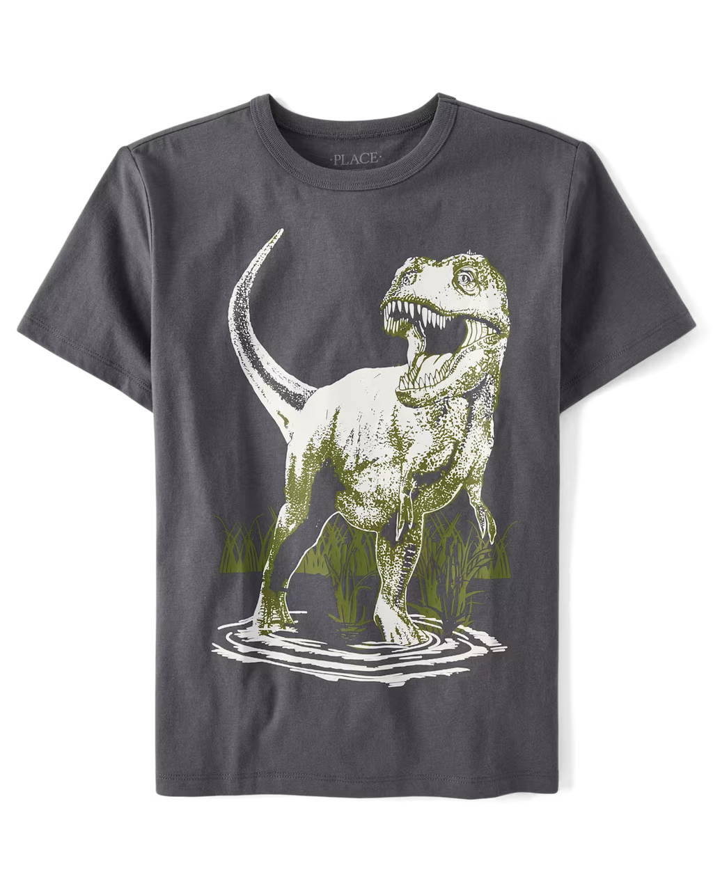 Boys Dino Graphic Tee - The Children's Place Size 10/12 NWT