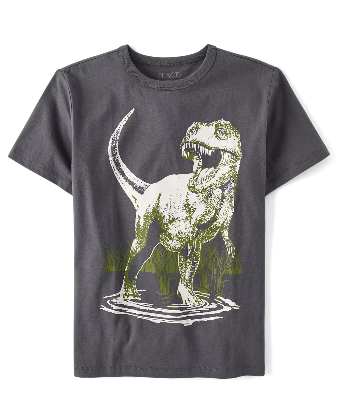Boys Dino Graphic Tee - The Children's Place Size 10/12 NWT