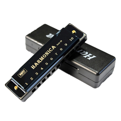 10 Hole Diatonic Harmonica C Tone Mini Mouth Organ with Case