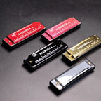 10 Hole Diatonic Harmonica C Tone Mini Mouth Organ with Case