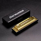 10 Hole Diatonic Harmonica C Tone Mini Mouth Organ with Case
