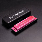 10 Hole Diatonic Harmonica C Tone Mini Mouth Organ with Case