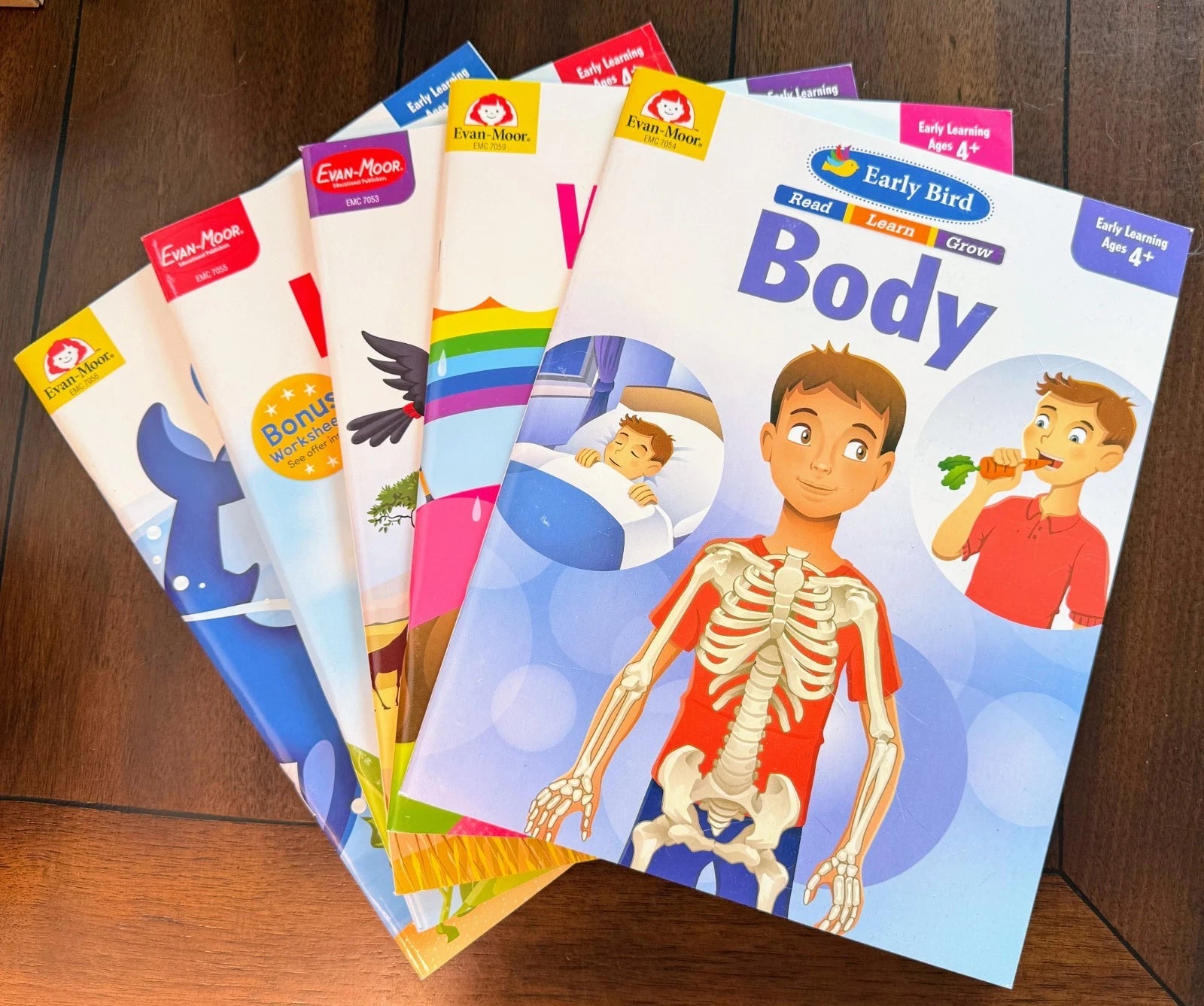 Early Bird Preschool PreK Workbook Science Set Ages 4+